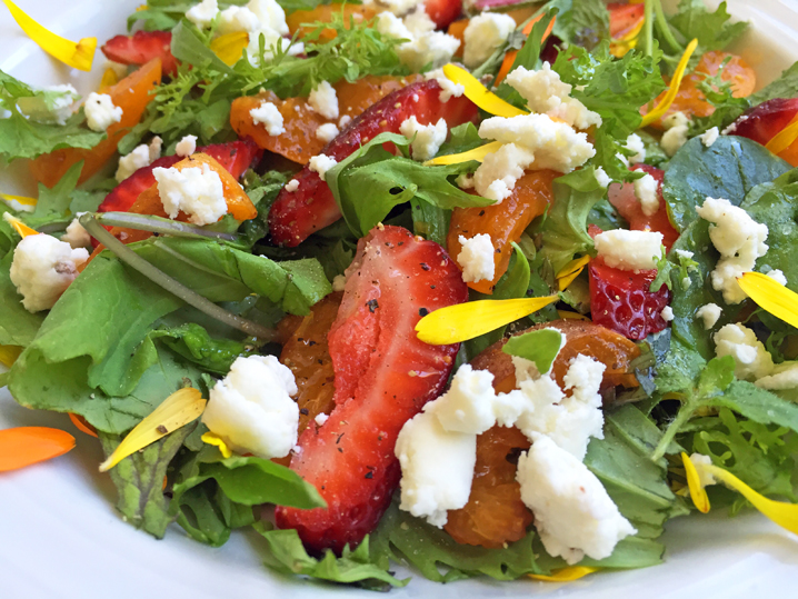 Local Summer Salad: My backyard apricots, Fifth Crow Farms greens and berries, Harley Goat Farms Dairy chevre